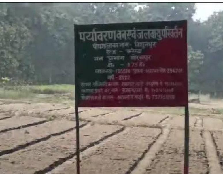 वन विभाग संबंधित फ़ाइल फ़ोटो