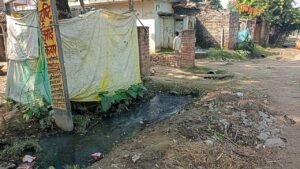 बजबजाती नाली वार्ड नंबर 6 आजाद नगर की पहचान